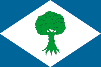 Bandera de Noceda del Bierzo